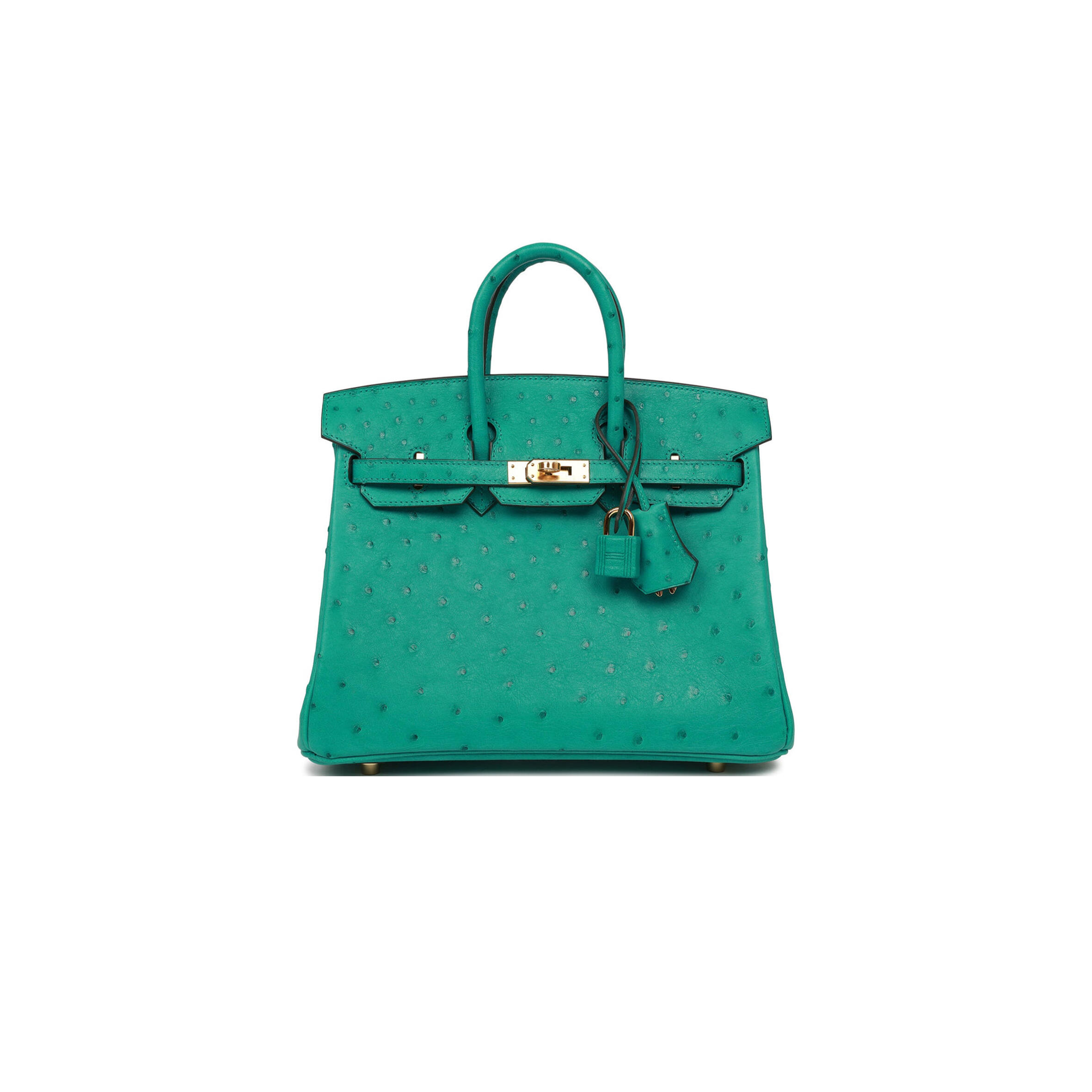 HERMES MASTER BIRKIN 25 GOLD HARDWARE (25*20*13cm)